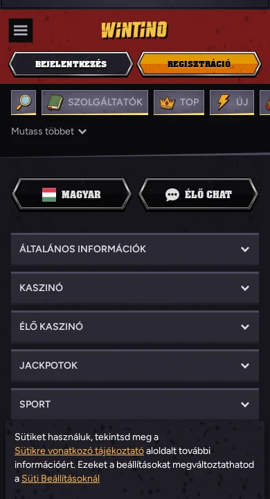 Wintino mobile experience